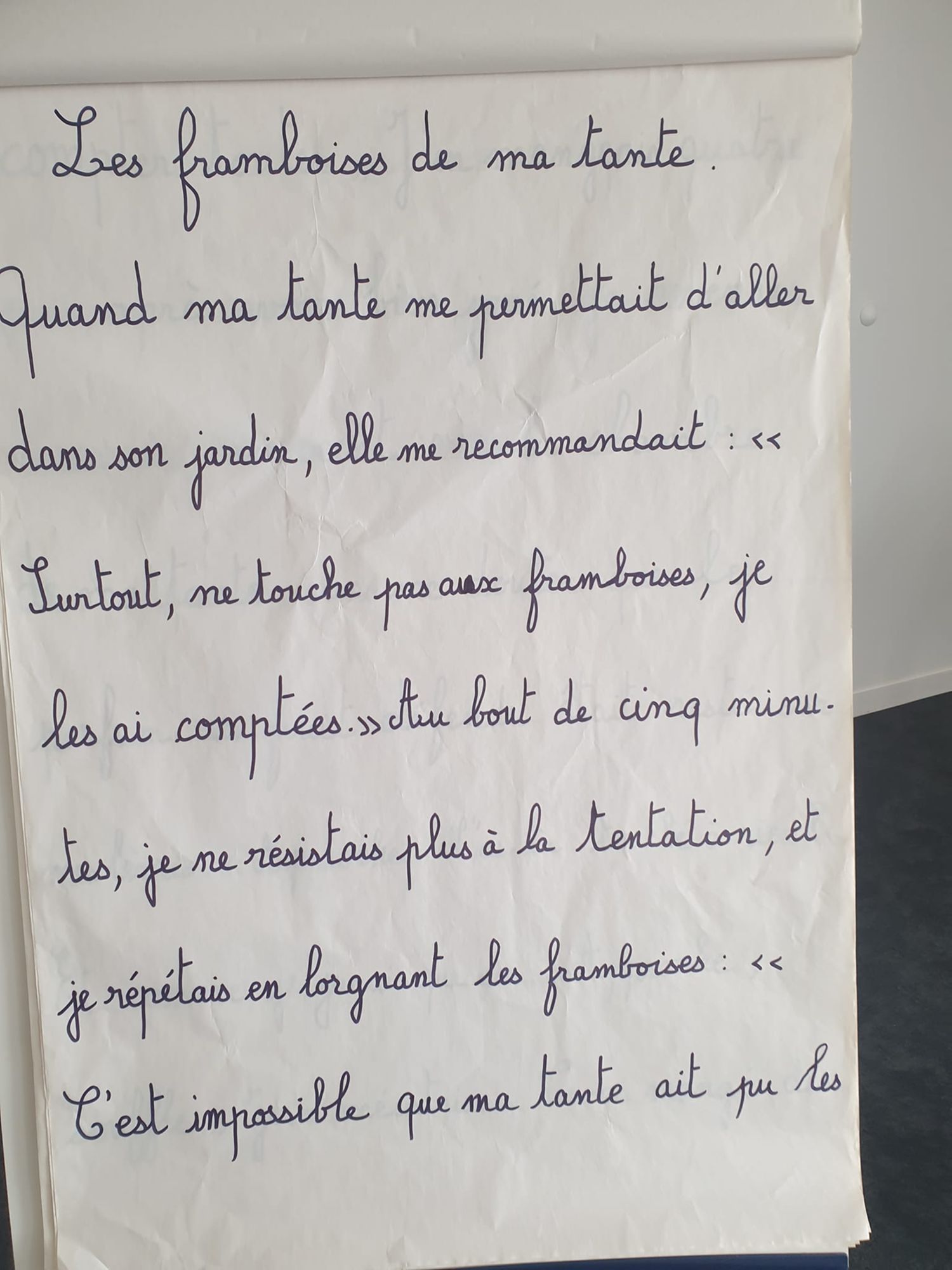 La dictée réalisée par Mademoiselle Irène : "Les framboises de ma tante", page 1