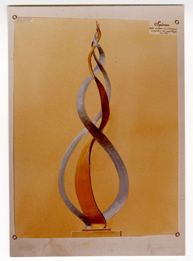 Insolite - Un coquillage à Turpault