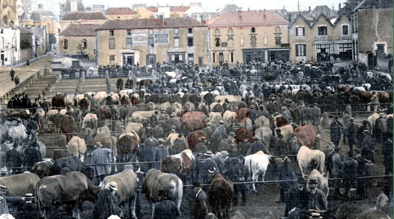 Franck et les premiers  Durham de Cholet