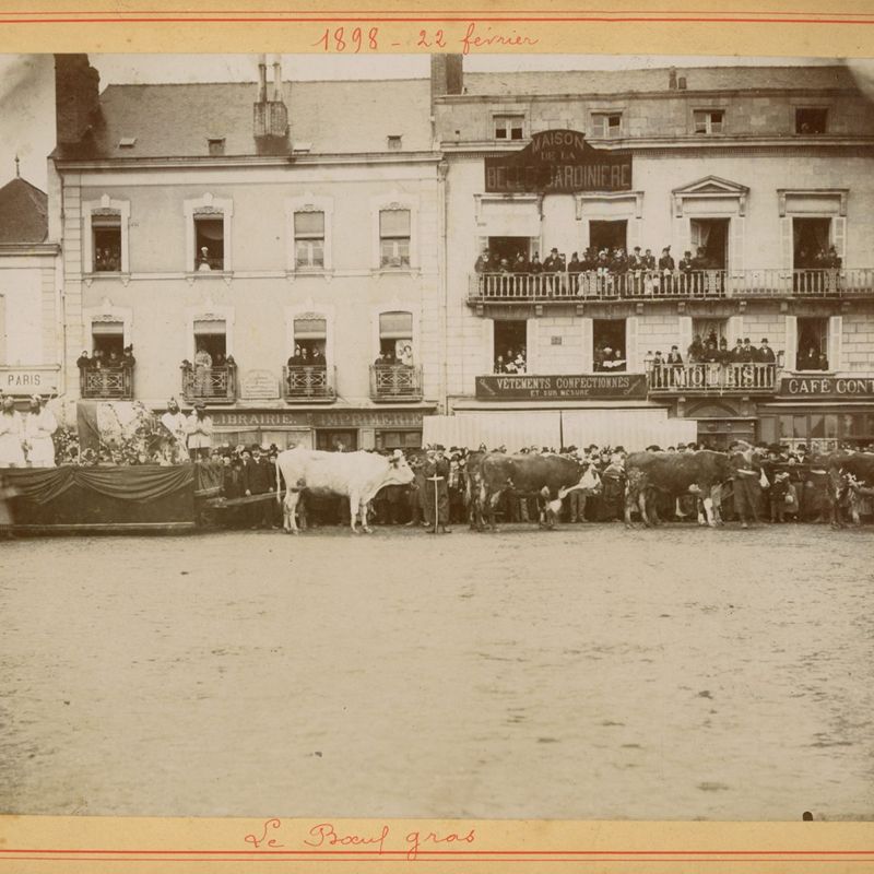 22Fi48 - "Char du boeuf gras, place Travot". Tirage photographique. 1898