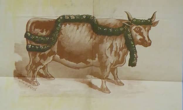 Du boeuf gras à la tombola