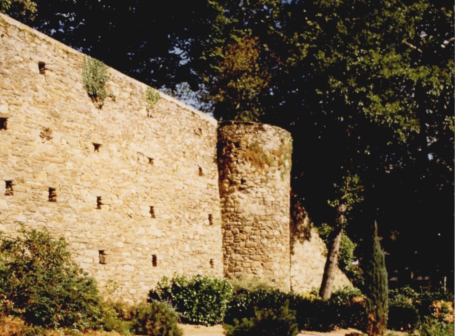 6Fi1073 - Photographie des remparts. Coll. AMC 