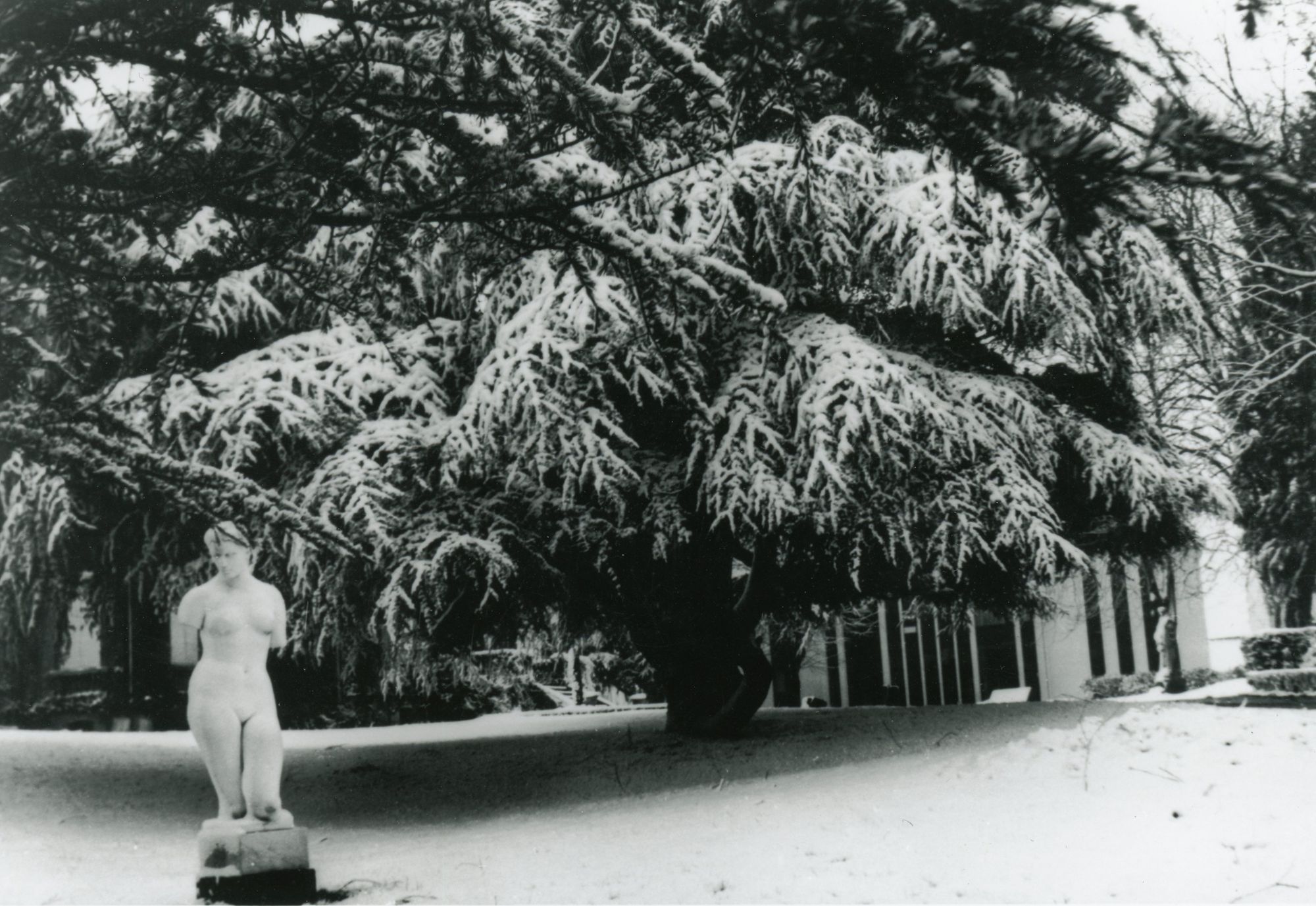 21Fi1863 - La bibliothèque du parc Pérotaux, 1967. Coll. AMC