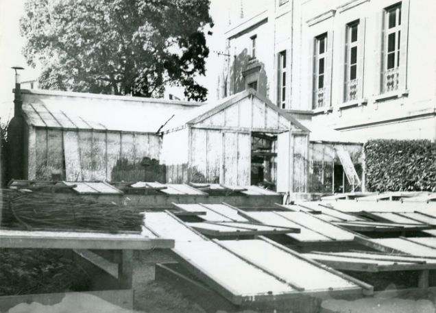 À la découverte des serres municipales