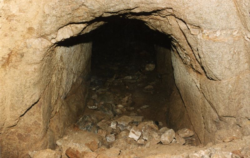 Insolite - Un ancien tunnel dans le Jardin du Mail