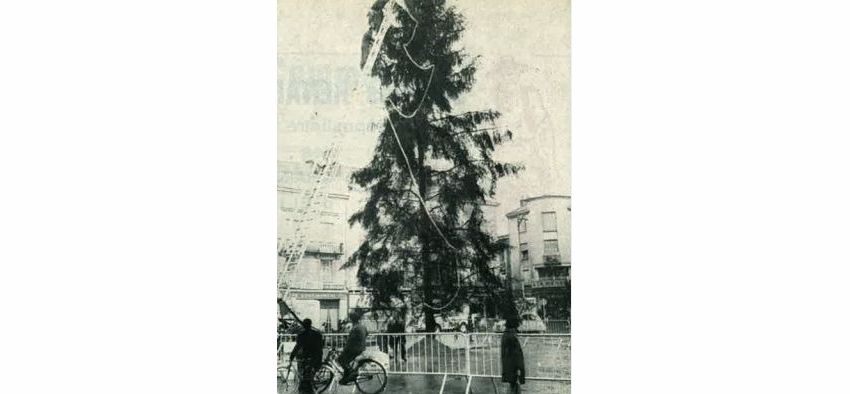 1965, l'Opération Sapin