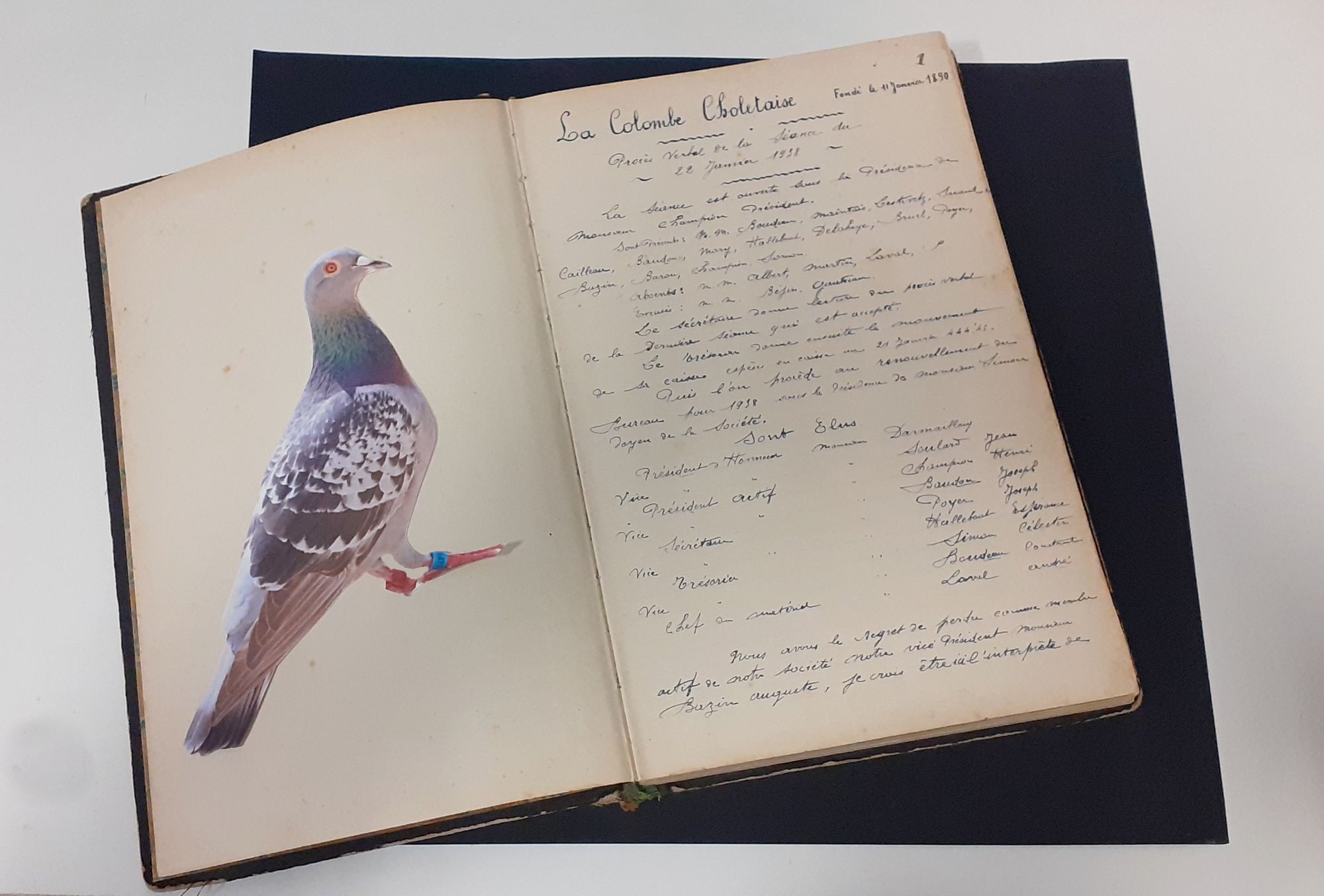 Don de l'association La Colombe Choletaise